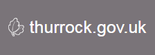 Thurrock Council website logo